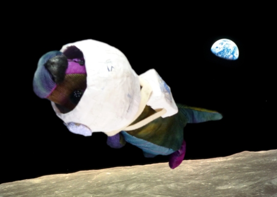 spaceotter1
